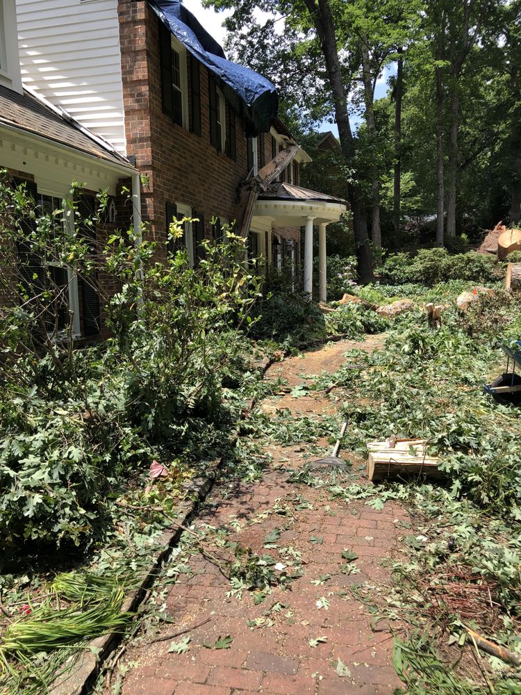 Hartsell Tree Service