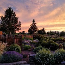 Landsystems Nursery 10 Reviews Nurseries Gardening 21336 E Photo Of Landsystems Nursery Bend Or United States
