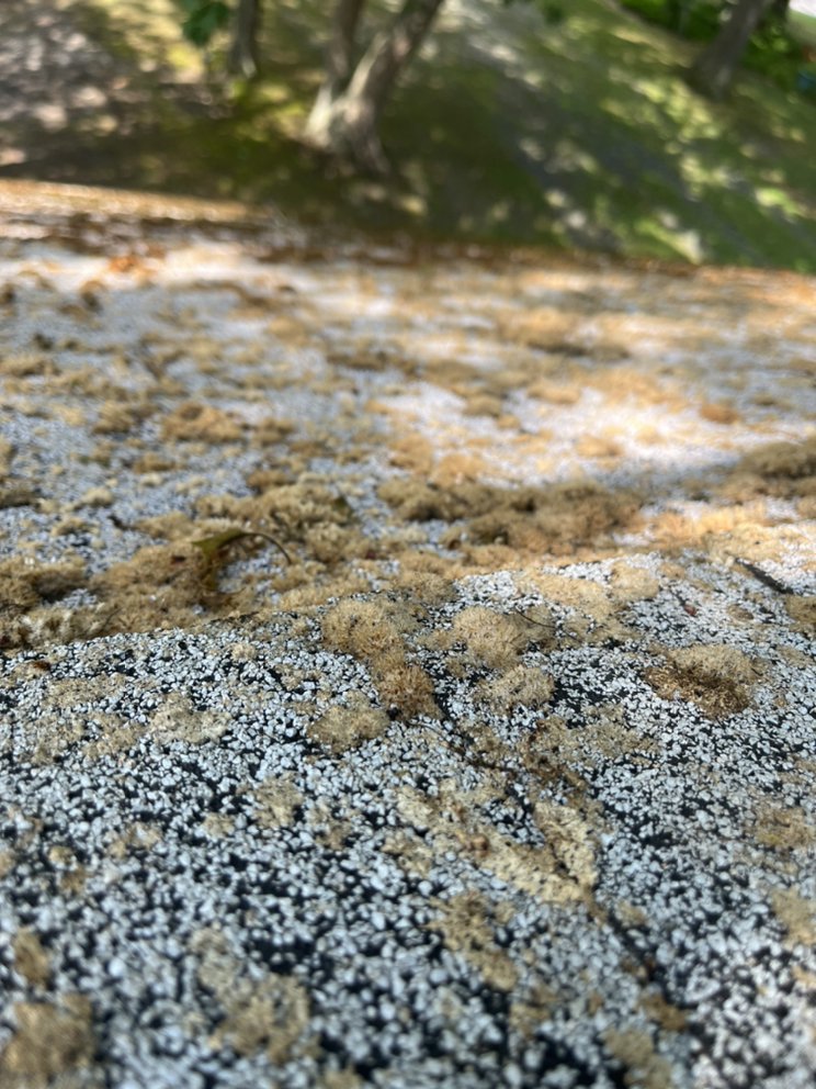 Instant Pressure Wash