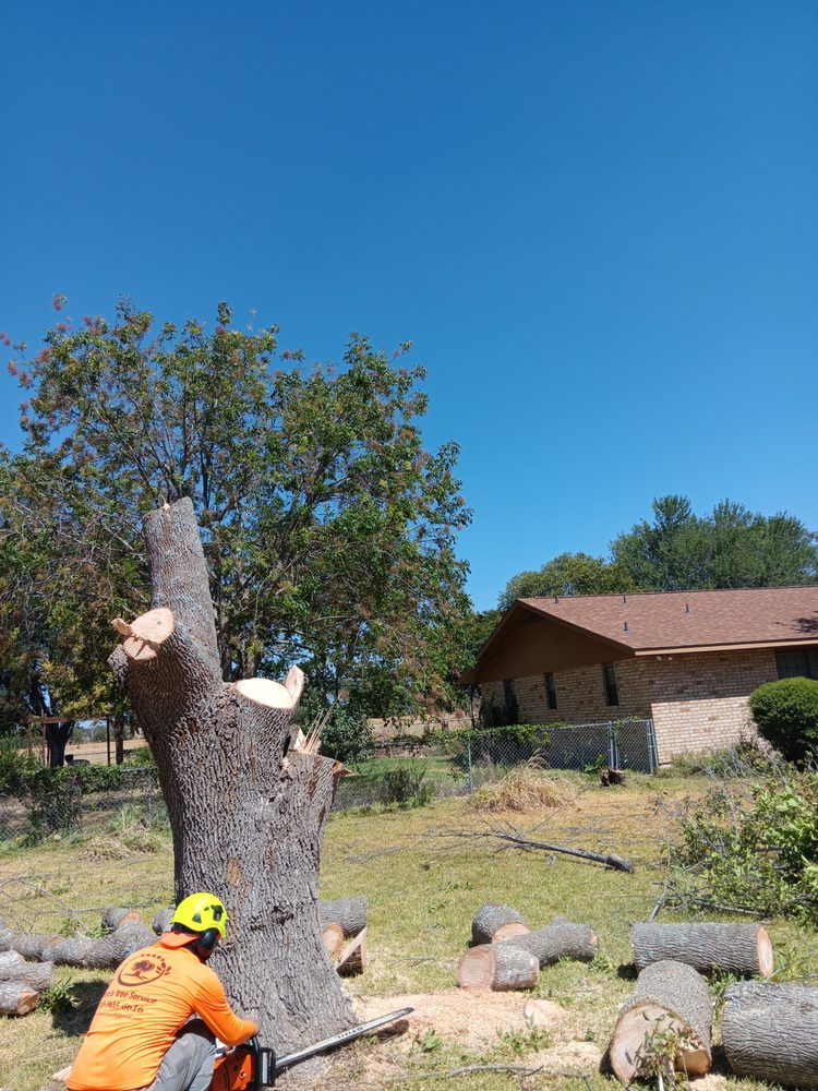 Rivera's Tree Service