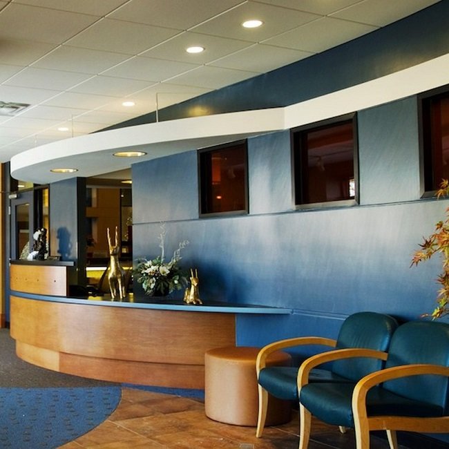 ABC Dentistry & Orthodontics 21 Photos & 28 Reviews Pediatric