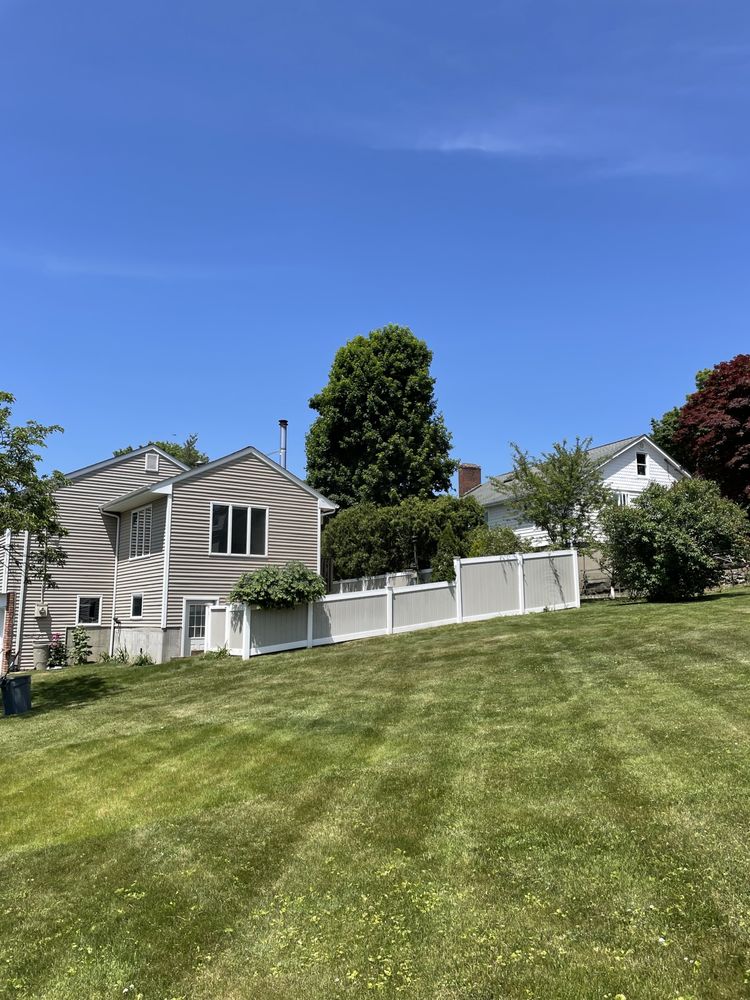 J Coletti & Sons Tree Service