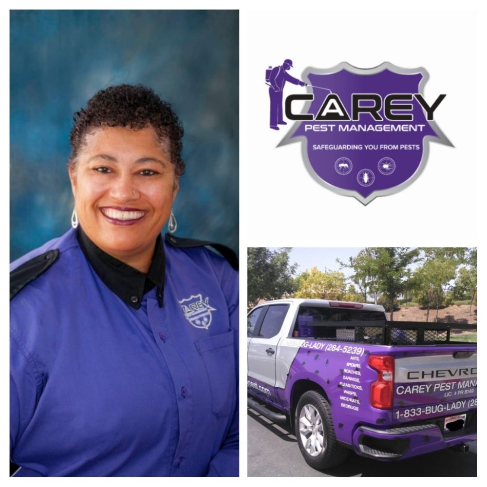 Carey Pest Management
