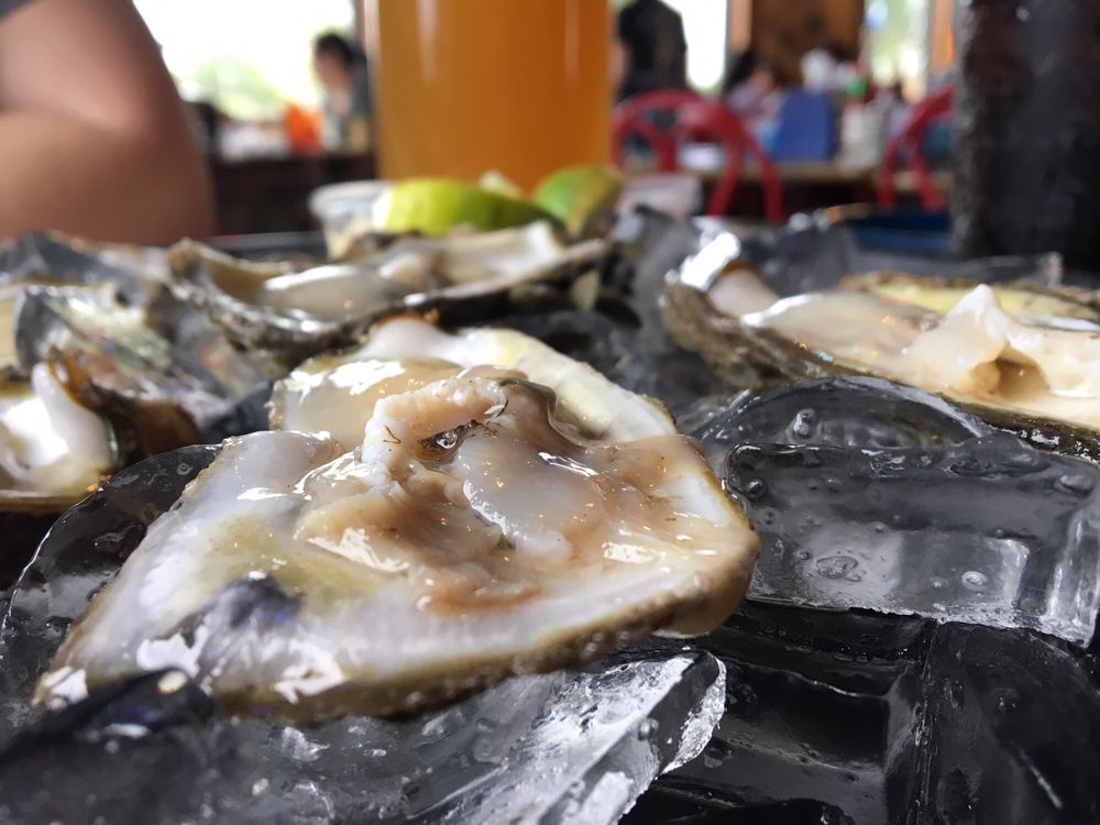 Deckhand Oyster Bar North 954 Photos & 670 Reviews Seafood 500