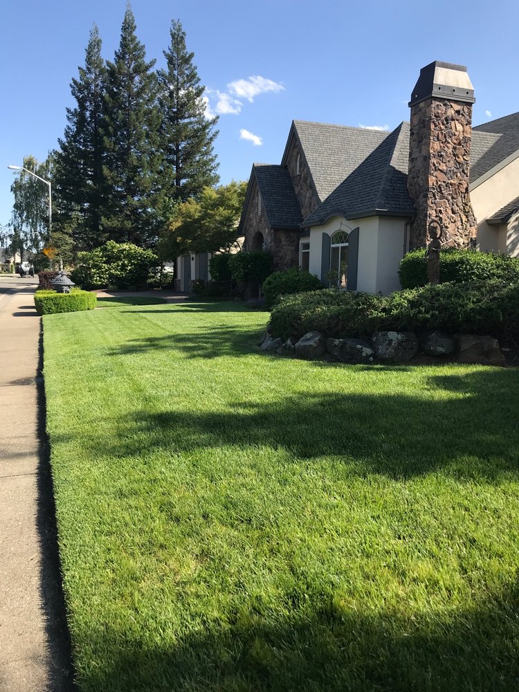 Legacy Lawn & Landscape