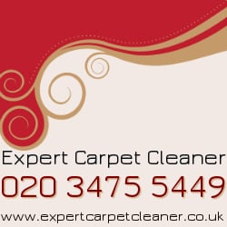 Daily Carpet Cleaner