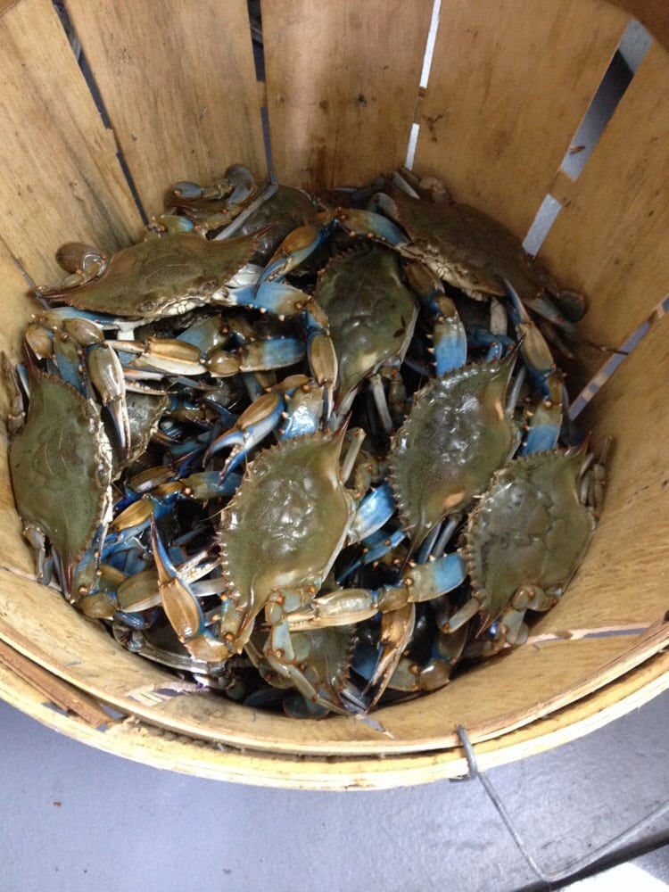 Stevensville Crab Shack 20 Photos & 44 Reviews Seafood Markets