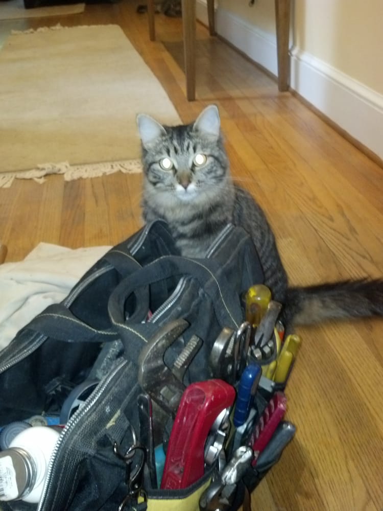 A & A Plumbing Company