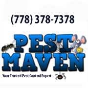 The Pest Maven