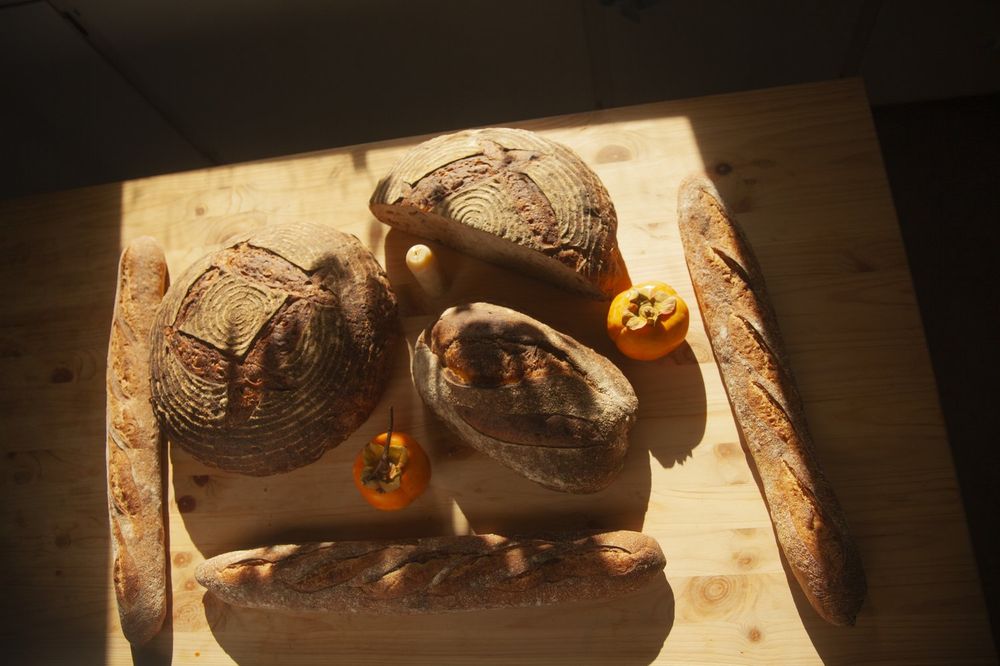 Sonoma Mountain Breads