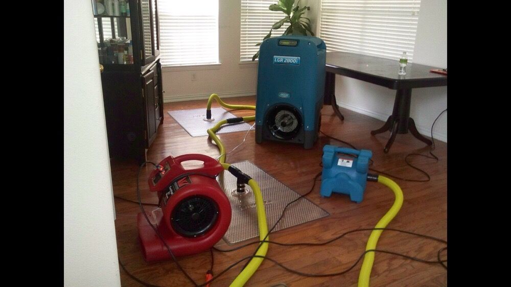 Saving Carpet Cleaning