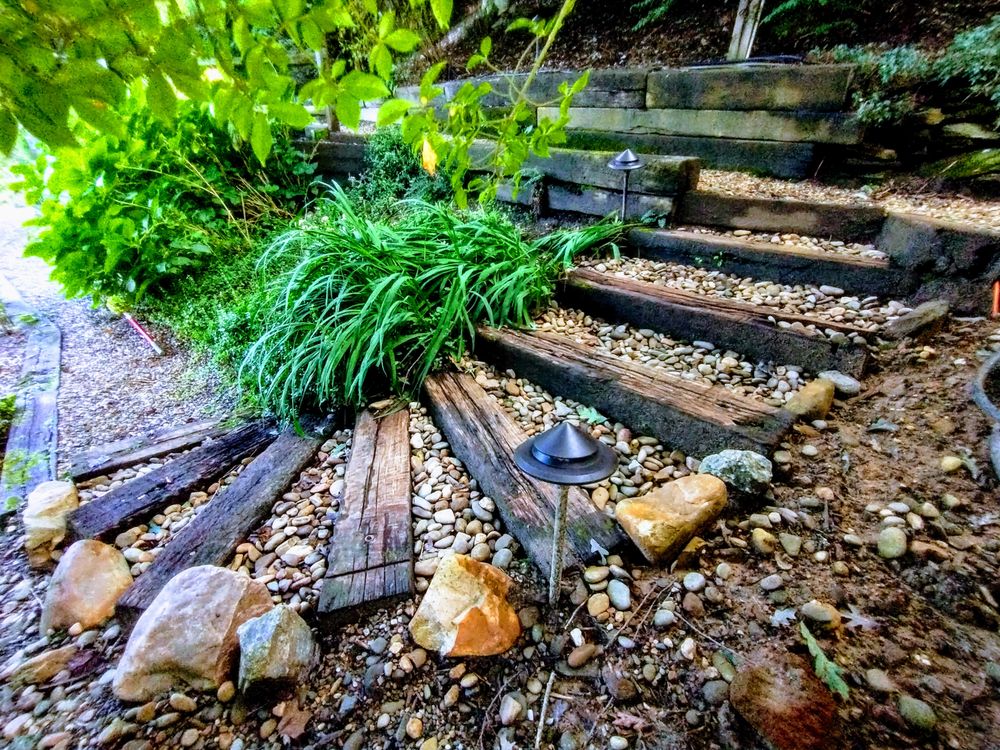 Natural Succession Landscapes