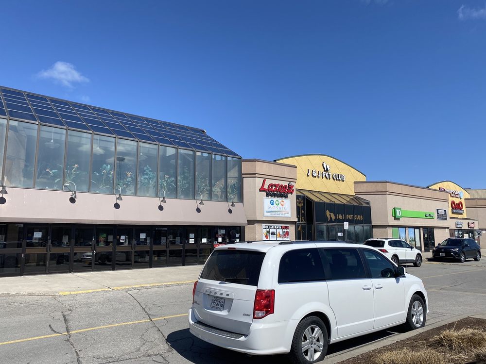 The Shops on Steeles and 404