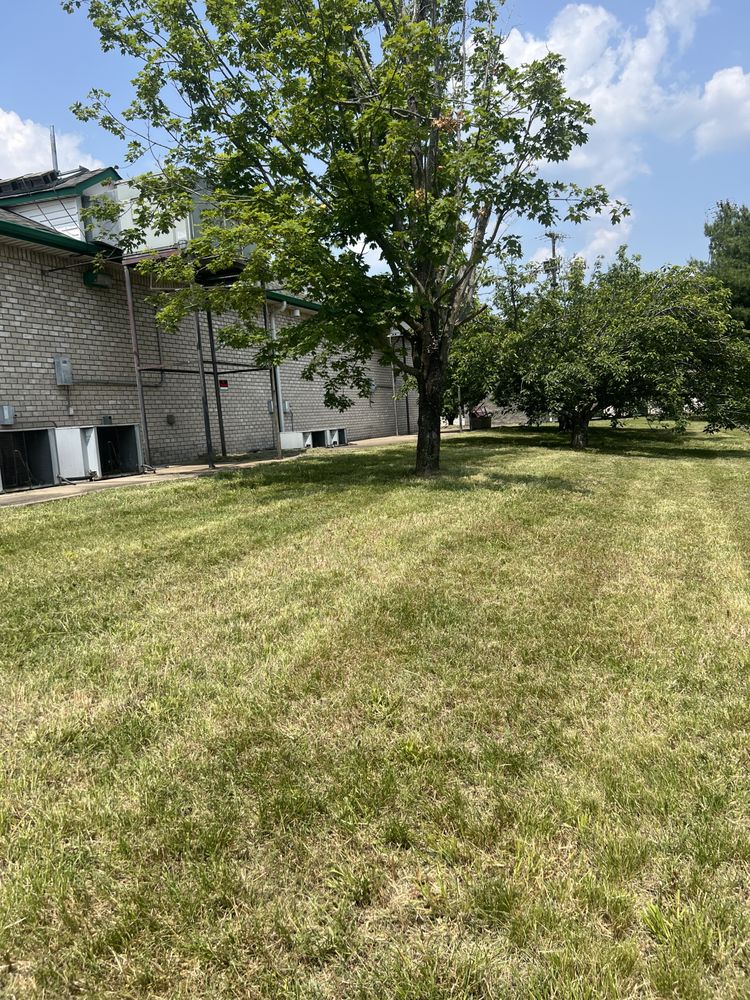 Oliphant and Sons Lawn Care and Landscaping  Services