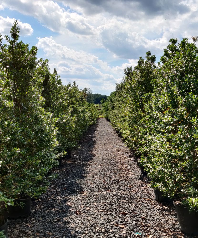 bains rumson nj on Shopping Gift Cards Certificates In Port Monmouth Nj Page 14 Giftrocket