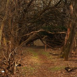 Gwynns Falls/Leakin Park - 17 Photos - Parks - Franklintown, Baltimore