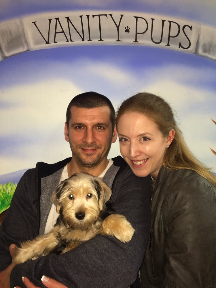 Thanks Vanity Pups We Love Our Baby Nikko Yelp Photo Of Vanity Pups Boutique Bayside Ny United States Thanks