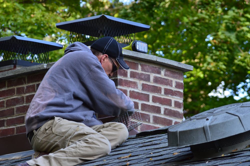 Complete Pest Solutions