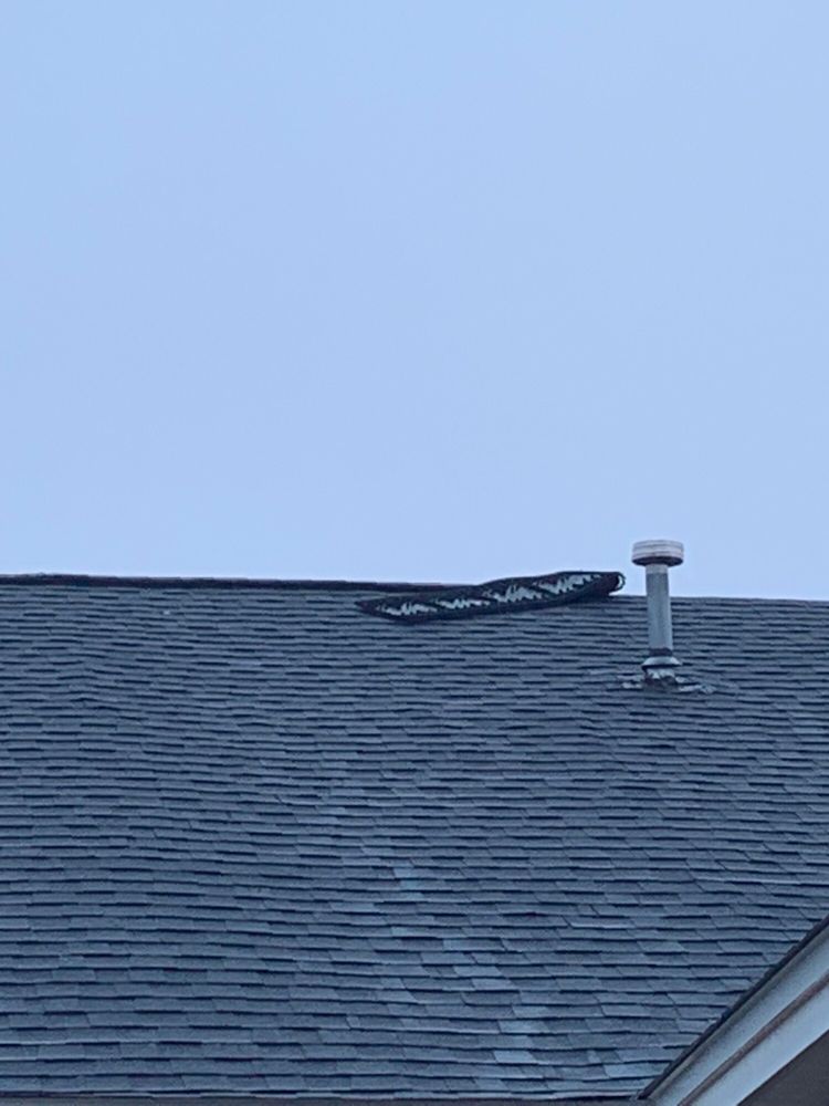 Royal Roof Repairs