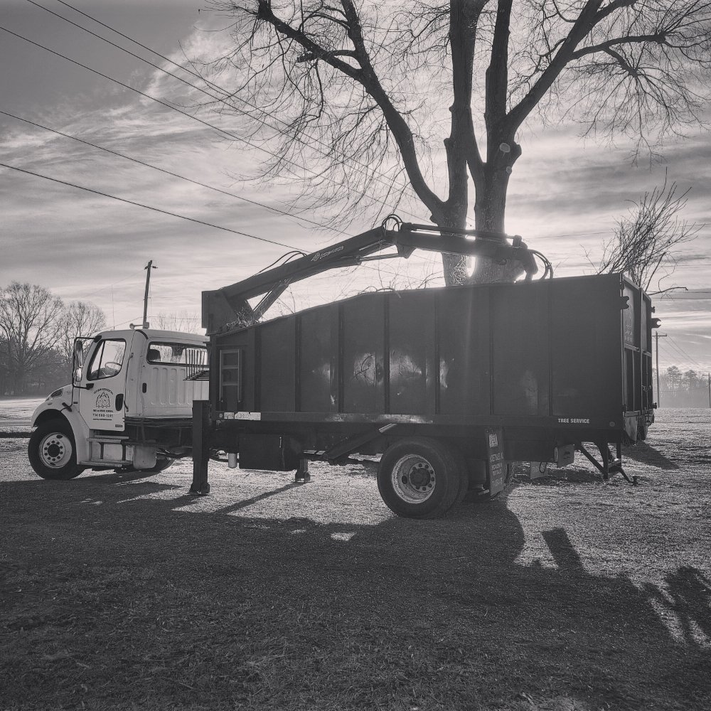 Veteran Residential Tree Service