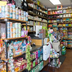 rock dog and cat 38 photos 141 reviews pet stores rock dog and cat 38 photos 141 reviews pet stores