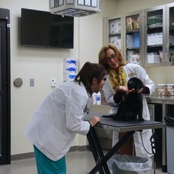 banfield pet hospital millerville