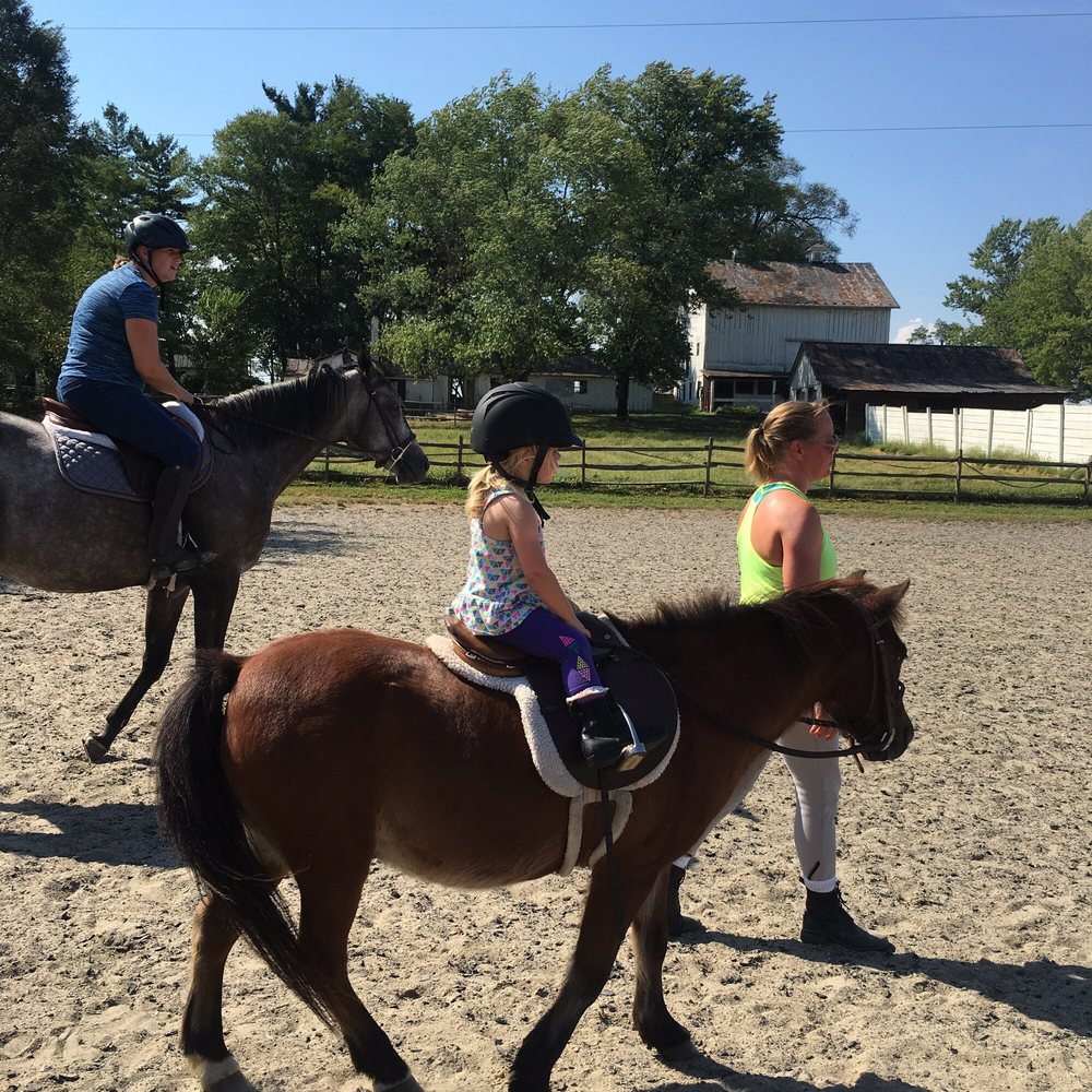 FoxRock Stables
