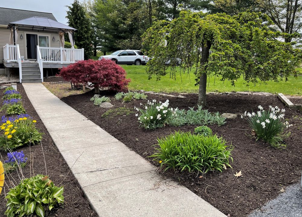 image of business Apex Landscaping & Construction