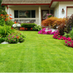 young s tree service belzoni ms photo of the young pro tree services odessa tx united states 9880 grissom ave young s tree service belzoni ms photo of the young pro tree services odessa tx united states 9880 grissom ave