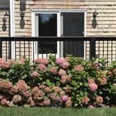 Renewal By Andersen 37 Photos 60 Reviews Windows Installation Photo Of Renewal By Andersen Cranford Nj United States Our Beautiful New