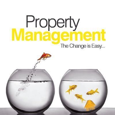 Treasure Island Properties and Management