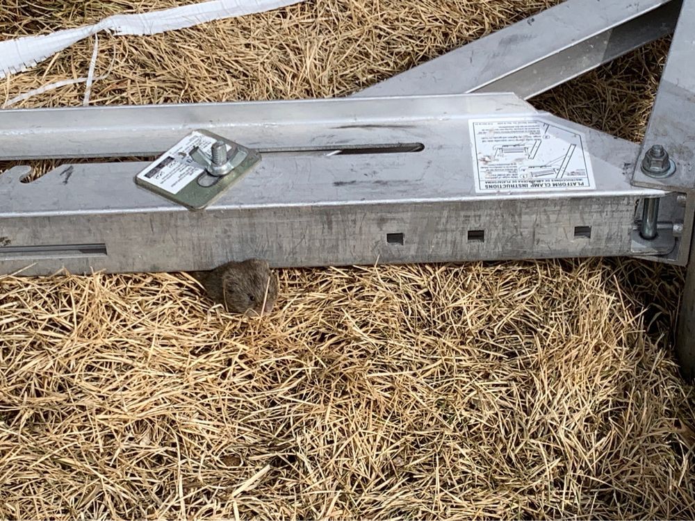 image of business Welter Construction