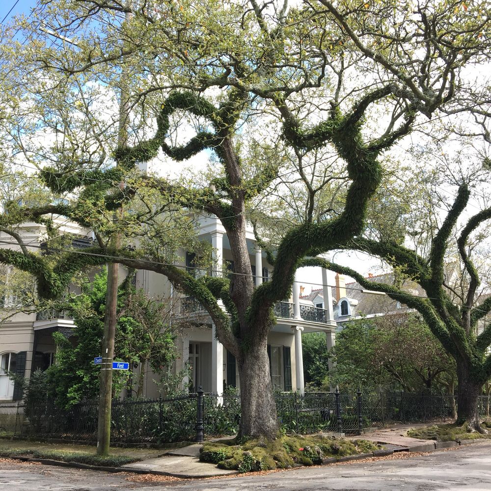 Anne Rice S House Garden District New Orleans Lo Haunted History Photo Of Haunted History Tours New Orleans La United States Anne Rice S