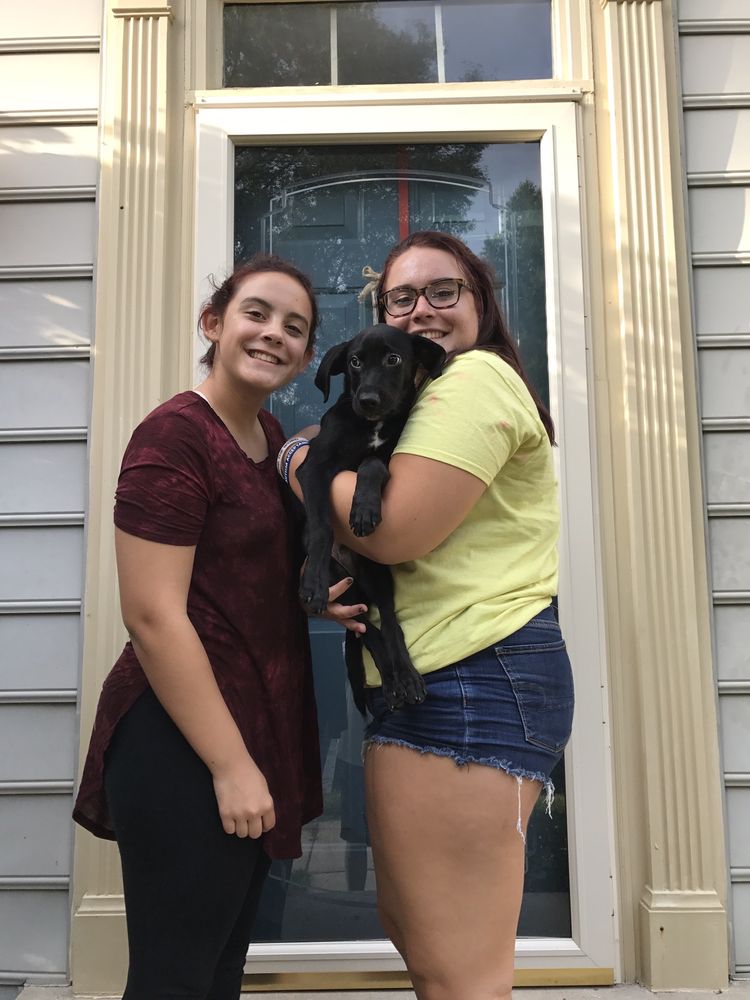 Homeward Trails Animal Rescue