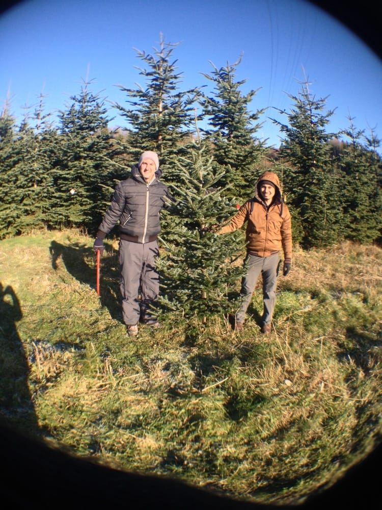 Ronnei Christmas Tree Farm Christmas Trees 11210 CarnationDuvall