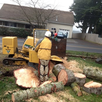 Tree Service Beaverton  Photo of J & F Tree Service Inc - Beaverton, OR, United States.
