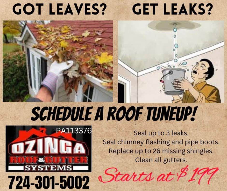 Ozinga Roof Systems