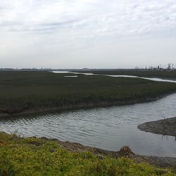 Seal Beach National Wildlife Refuge Parks 800 Blvd Photo Of Seal Beach National Wildlife Refuge Ca United States