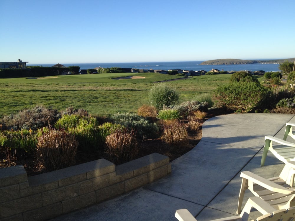 Bodega Retreat Where I had my first cup of coffee Yelp