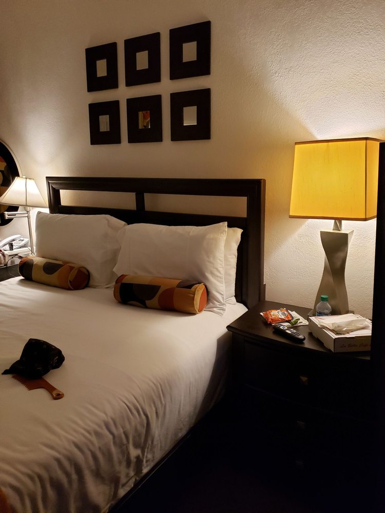 NS San Diego Navy Base in San Diego, CA