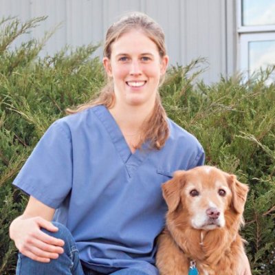 Southwood Veterinary Hospital