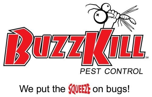 Buzz Kill Pest Control