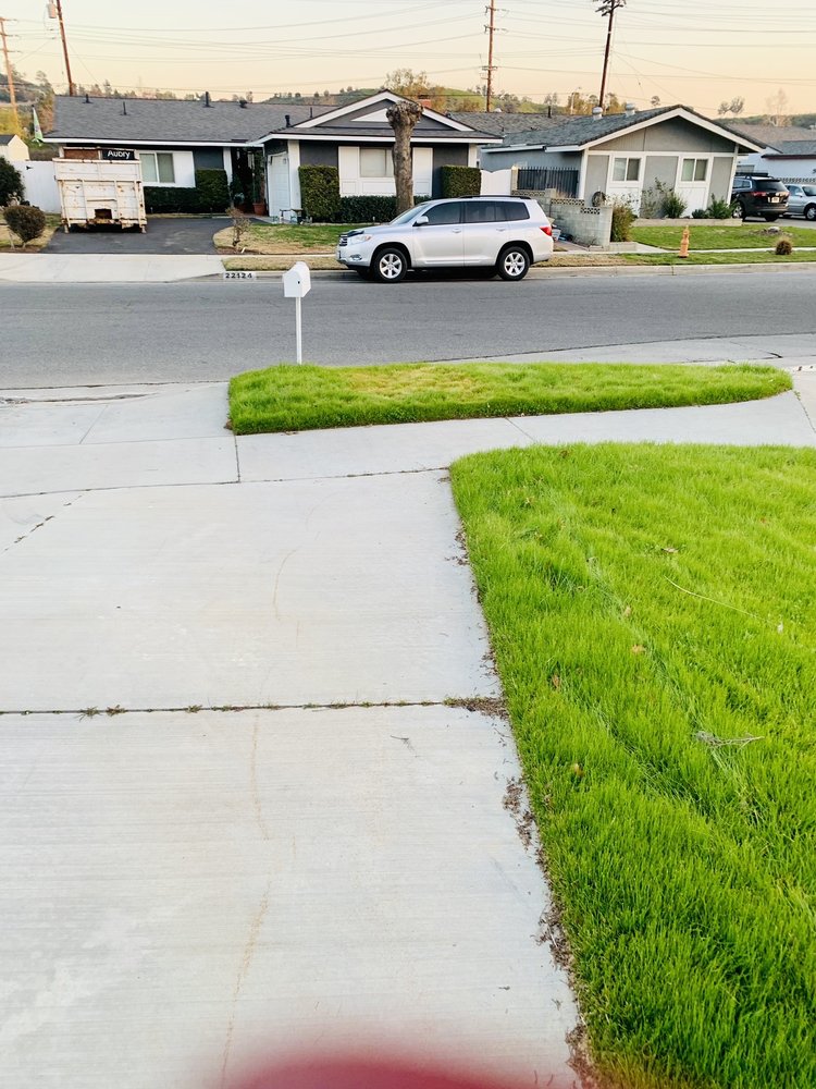 Solis Tree Service