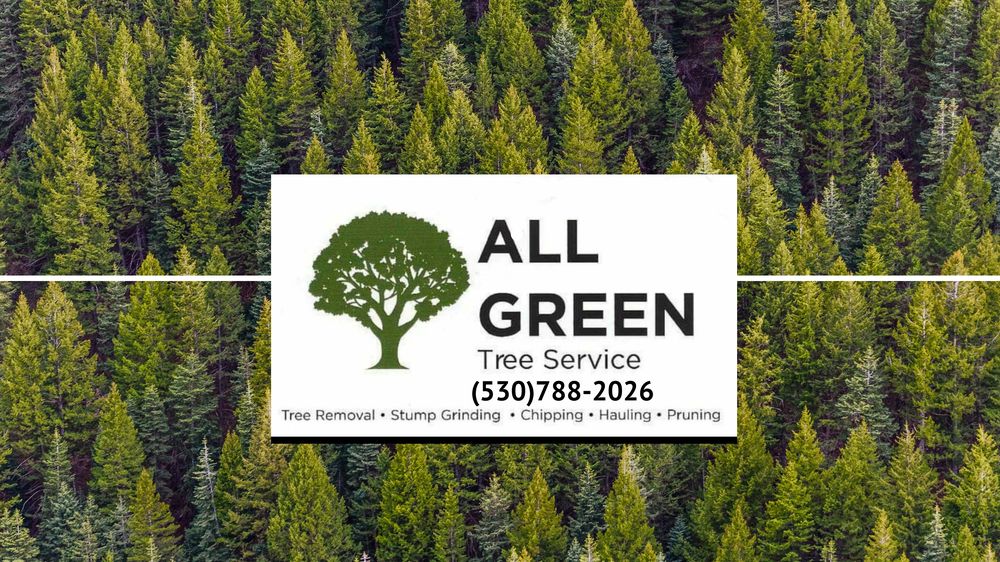 All Green Tree Service