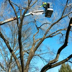 calling tree
