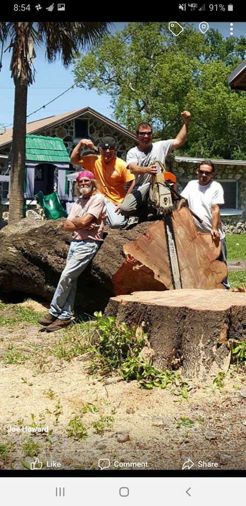 Joes Tree Service