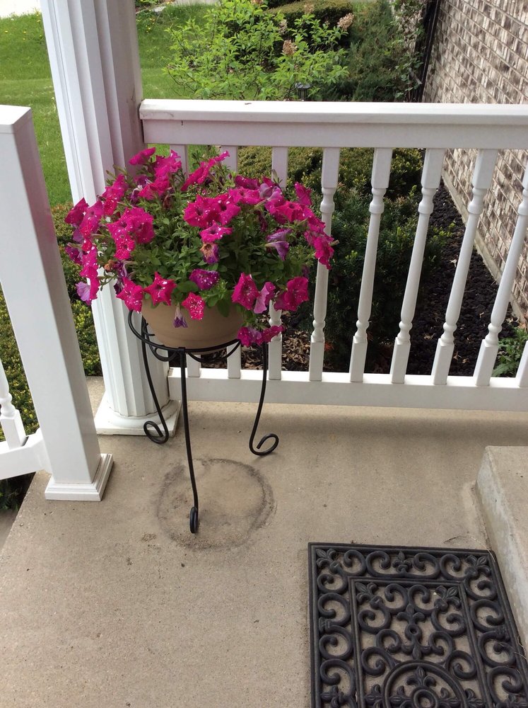 Petersen & Tietz Florists & Greenhouses 25 Photos Nurseries