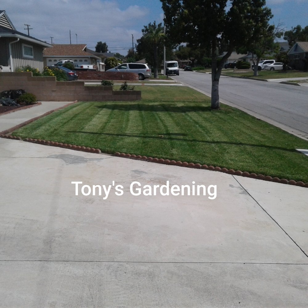 Tony's Gardening Services