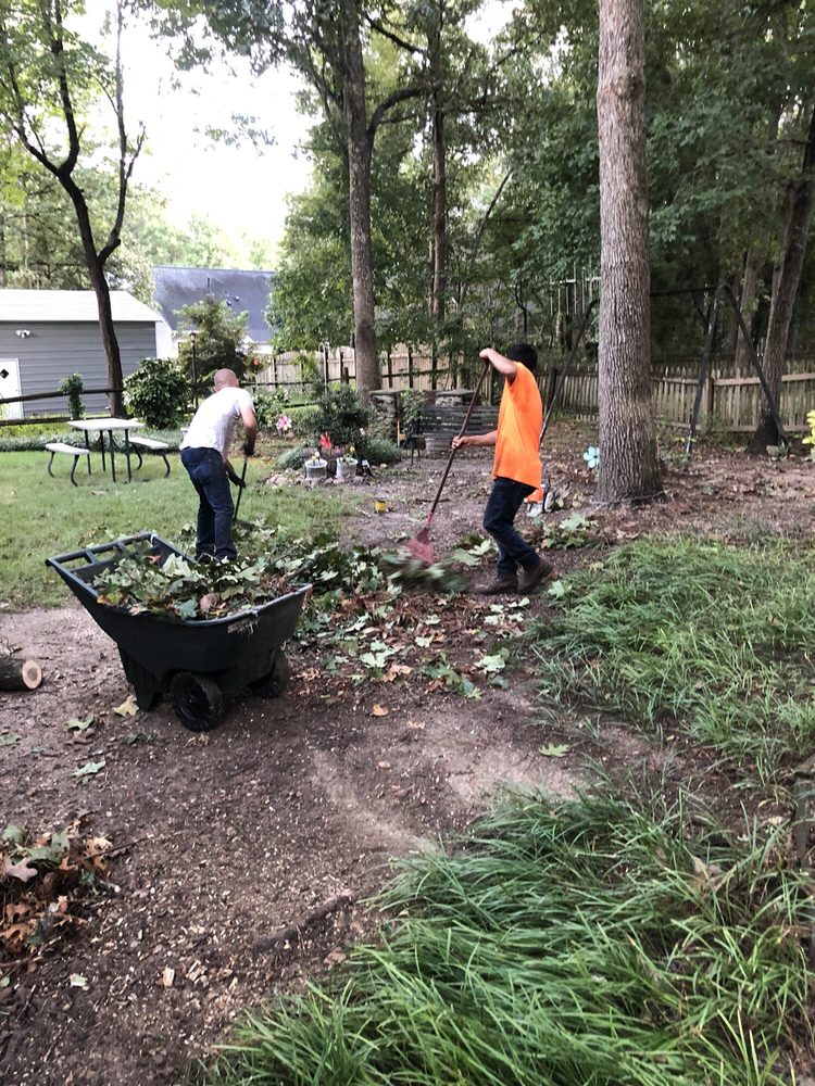 Wheeley Tree Service