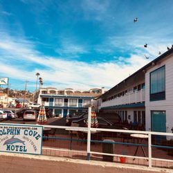 Dolphin Cove Motel 66 Photos 77 Reviews Hotels 170 Main St Photo Of Dolphin Cove Motel Pismo Beach Ca United States